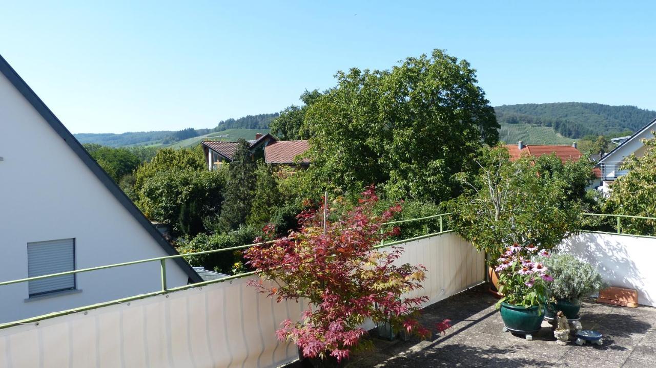 Appartamento Eifelidylle Am Moselmaareradweg Wittlich Esterno foto
